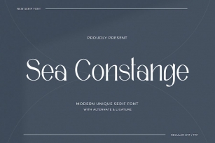Sea Constange - Modern Unique Serif Font Font Download