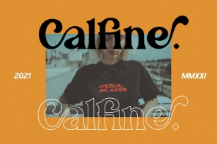 Calfine - A Modern Serif Font Download