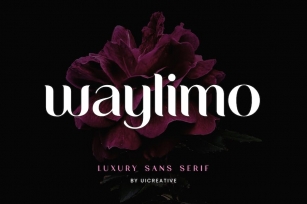Waylimo Luxury Sans Serif Font Font Download