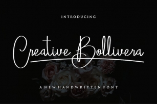 Creative Bollivera Fonts Font Download