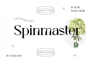 Spinmaster Modern Display Serif Font Font Download