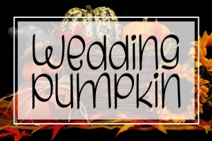 Wedding Pumpkin Font Download