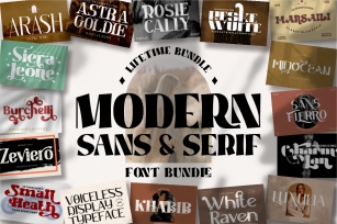 Modern Sans And Serif Bundle Font Download