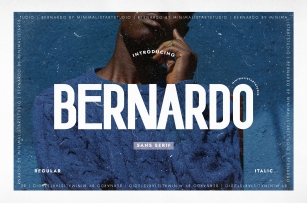 Bernardo Font Download