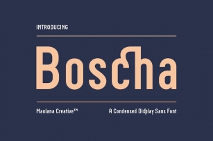 Boscha Condensed Display Sans Font Font Download
