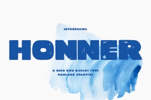 Honner Sans Serif Display Font Font Download