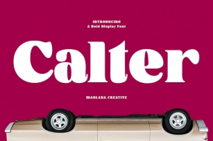 Calter Serif Bold Display Font Font Download