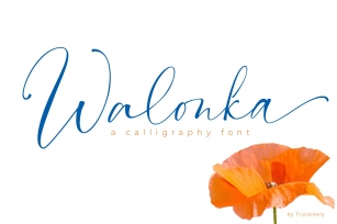 Walonka calligraphy Font Download