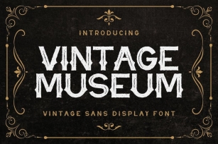 Vintage Museum - Vintage Sans Display Font Font Download