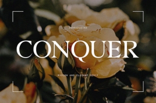 Conquer Modern Serif Font Download