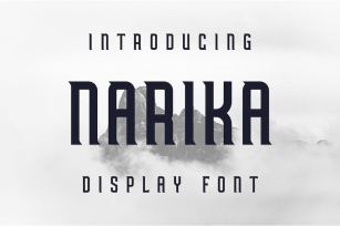 Narika Font Font Download