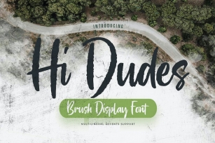 Hi Dudes - Brush Display Font Font Download