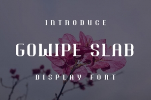 Gowipe Slab Font Font Download