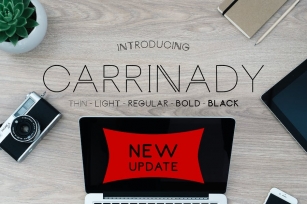 Carrinady Sans Family Font Download