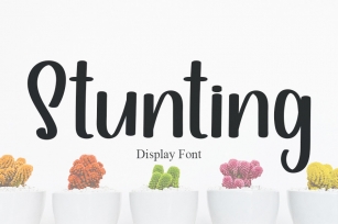 Stunting Font Download