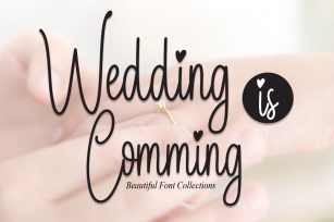 Wedding is Comming Font Download