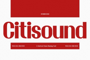 Citisound Contrast Sans Display Font Font Download