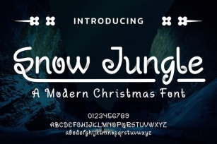 Snow Jungle - Christmas Font Font Download