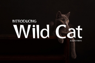 Wild Cat Font Download