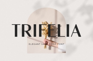 Trifelia - Elegant Sans Serif Font Download