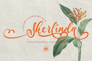 Sherlinda - A Stylish Script Font Font Download
