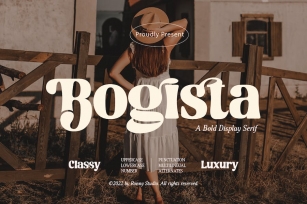 Bogista - A Bold Display Serif Font Download