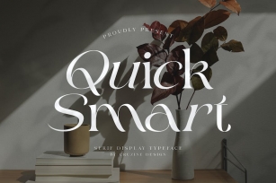 Quick Smart Modern Serif Font Download