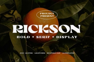 Rickson - Bold Serif Font Download