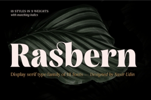 Rasbern - 18 Fonts Font Download