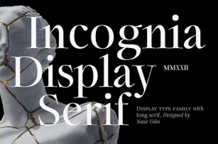 Incognia - 10 Fonts Font Download