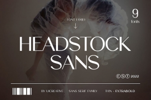 Headstock Sans Serif Family Font Font Download