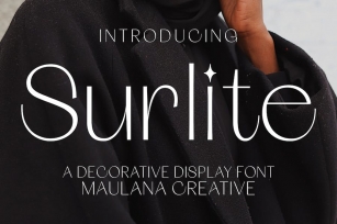 Surlite Sans Serif Display Font Font Download