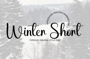 Winter Short Font Download