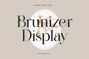 Brunizer Display Serif Font Font Download