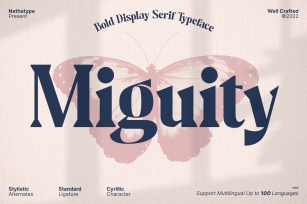 Miguity Font Download