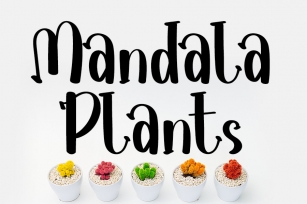 Mandala Plants Font Download