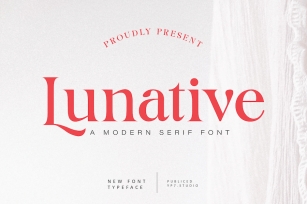 Modern Serif Font Font Download