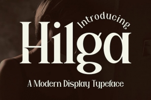 Hilga - A Modern Display Font Font Download