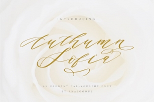 Authumn Sofia | Calligraphy Font Font Download