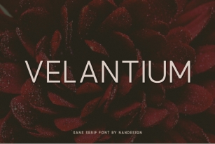 Velantium Font Download