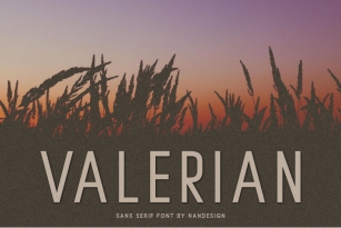 Valerian Font Download