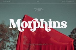Morphins | Display Serif Font Download