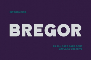 Bregor Sans Display Font Font Download