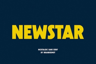 Newstar || Nostalgic Sans Serif Font Download