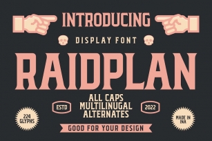 Raidplan Typeface Font Download