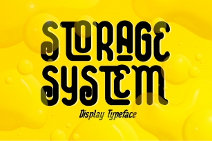 Storage System Font Download
