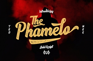 Phamelo - Grunge Script Font Download