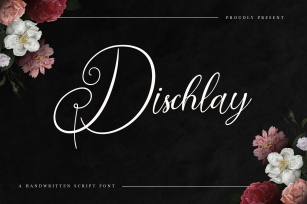 Dischlay Font Download