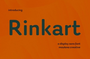 Rinkart Sans Display Font Font Download