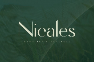 Nicales Typeface Font Download